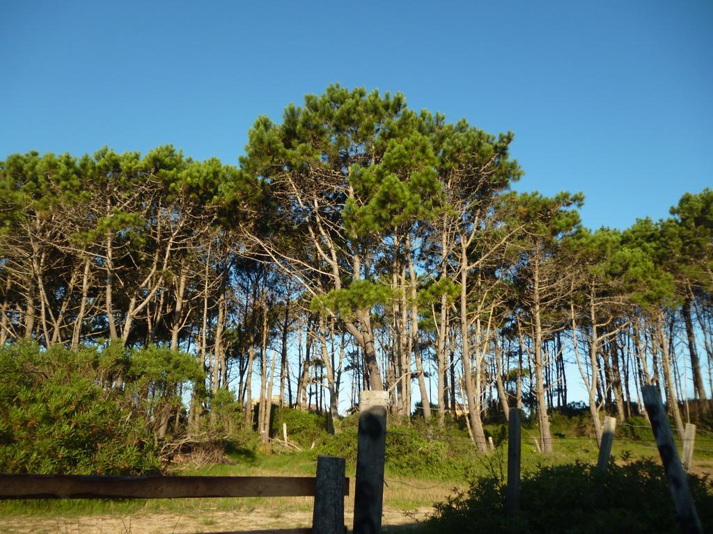 Cabanas Pietragalla Punta Del Diablo Εξωτερικό φωτογραφία